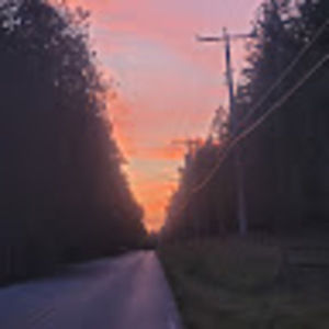 Meet your Posher, Quinn